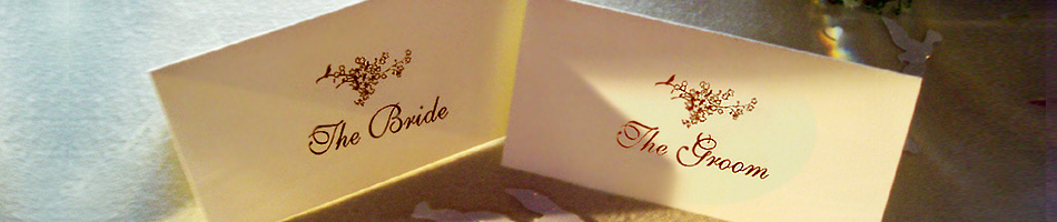 Wedding Singer & Pianist - Your Wedding Day